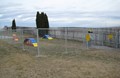 Pet Playground