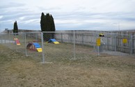 Pet Playground