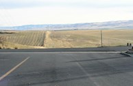 View to East from the Office