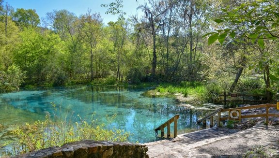 Itchetucknee Springs - Florida's Best State Park (TheDiscoverer.com)