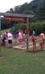 Mini Golf Photo