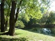 Brandywine River Photo