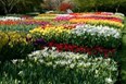 Longwood Gardens Photo