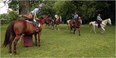 Horse Country Photo