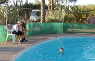 Pool Visitors