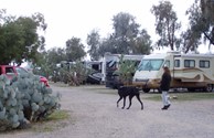 Pet Friendley