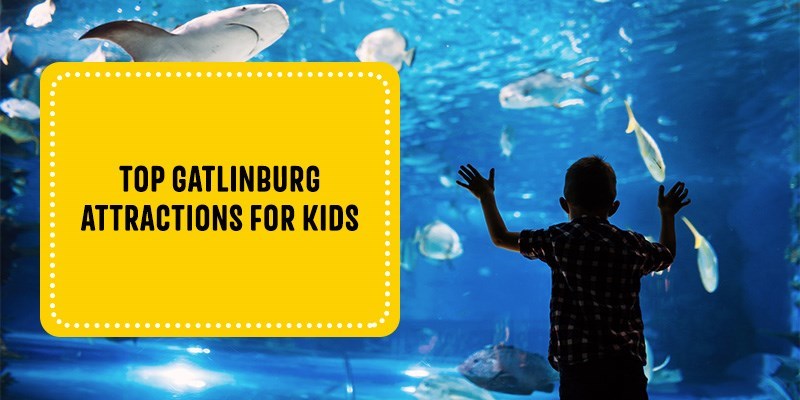 Top Gatlinburg Attractions For Kids