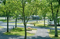 Site