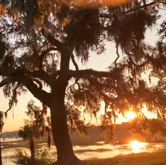 Bask in beautiful Beaufort ~ 50 Top Things To Do