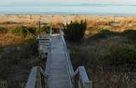 Lowcountry's backyard