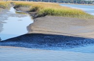 Beauty of Low Tide in Beaaufort