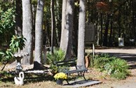 Relax in one of our many gardens