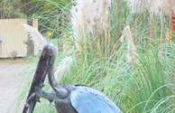 Sculptures Abound