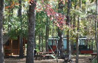 Kabins nestled in the woods