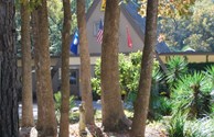 Office view through the garden