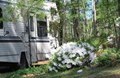 Welcome to Spring in the Lowcountry ~