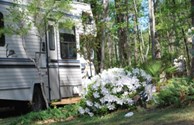 Welcome to Spring in the Lowcountry ~