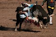 Polson Rodeo Photo