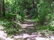 Hiking Trails Photo