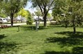 TENT AREA