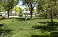 TENT AREA
