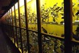 Fairbanks Museum and Planetarium Photo