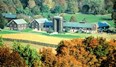 Marsh Billings Farm Photo