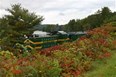 White River Flyer Train Tours Photo