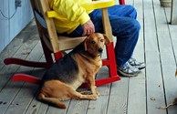 Relaxing on the Front Porch