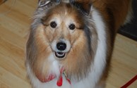 Magnificient Molly
