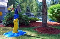 Wet- Whimsical- Water Fun