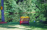 Enjoy the quiet calm of the reflection pond..