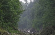 Famous Quechee Gorge Bridge