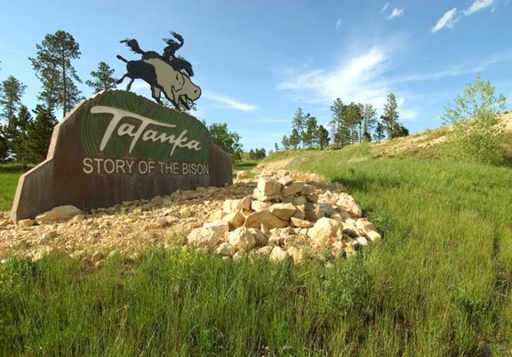 Tatanka: Story of the Bison