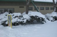 Front Building