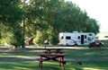Camp Under the Trees!