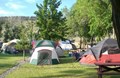 Soft Grassy Floor for Your Tent!