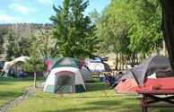 Soft Grassy Floor for Your Tent!