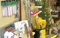 More From this KOA Store . . .