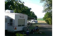 Basking in the Shade . . .