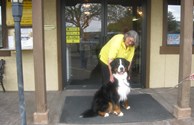 Pet Friendly