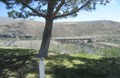 Truckee River Views