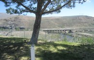 Truckee River Views