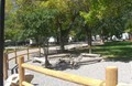 Community Fire Pit