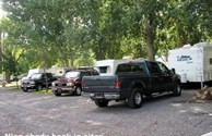 Nice Shady Back-In Sites