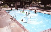 Taking a Dip!
