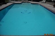 Take a Dip!