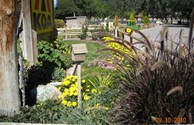 Grounds