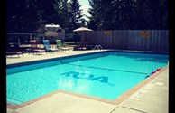 Splish Splash