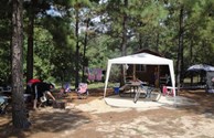 Shaded tent sites